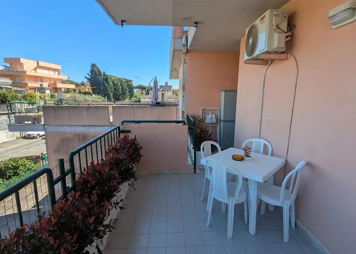 Orchidea Borghese * Nettuno